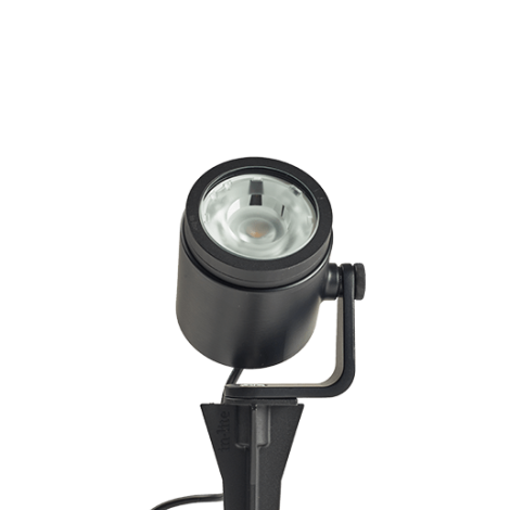 Big Scope Narrow