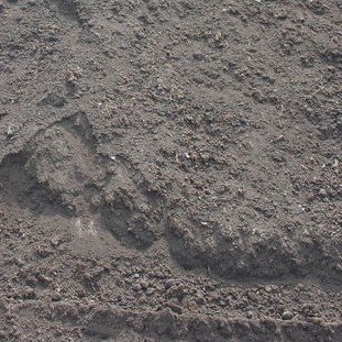 m³ Bosgrond (los gestort)