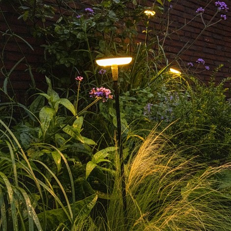 Sway Light Head Black