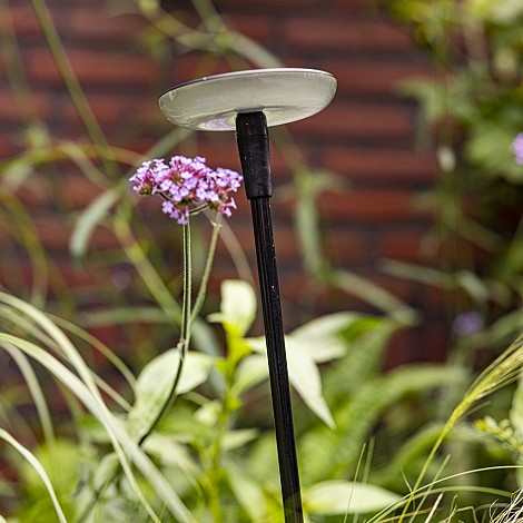 Sway Light Head Black
