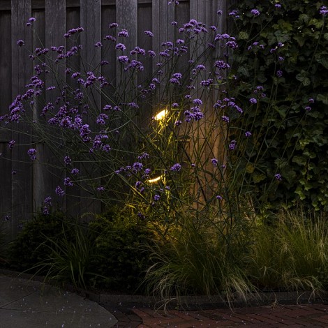 Sway Light Head Black