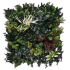 Green wall element Botanic B 50x50cm