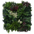 Green wall element Botanic C 50x50cm