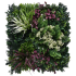 Green wall element Tropic B 50x50cm