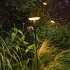 Sway Light Head Black