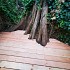 Douglas Geschaafde Loopdekdeel 2,5x14,0x300cm