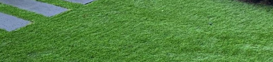 Kunstgras - Aanbieding