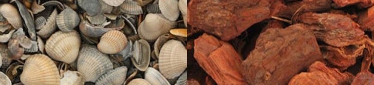 Boomschors en schelpen