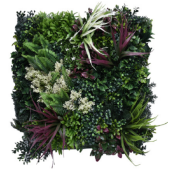Green wall element Tropic A 50x50cm