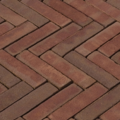 Morado 20,6X5,1X8Cm Wf