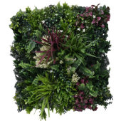 Green wall element Tropic C 50x50cm