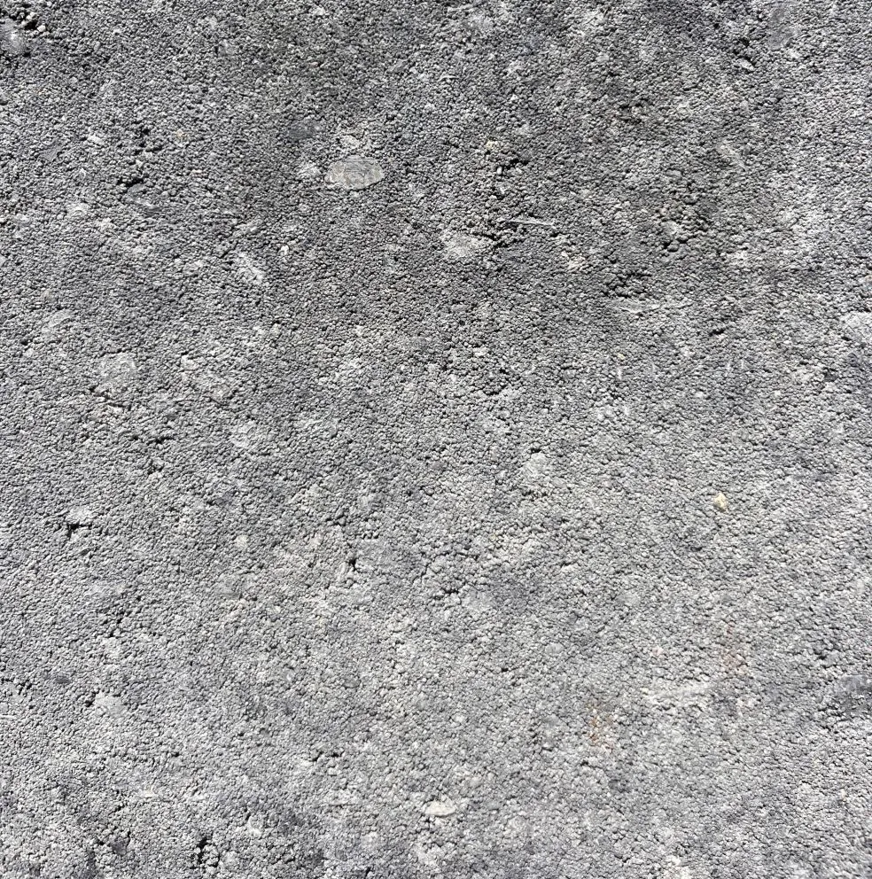 129281_363