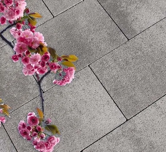 Terras of oprittegel 20x30cm