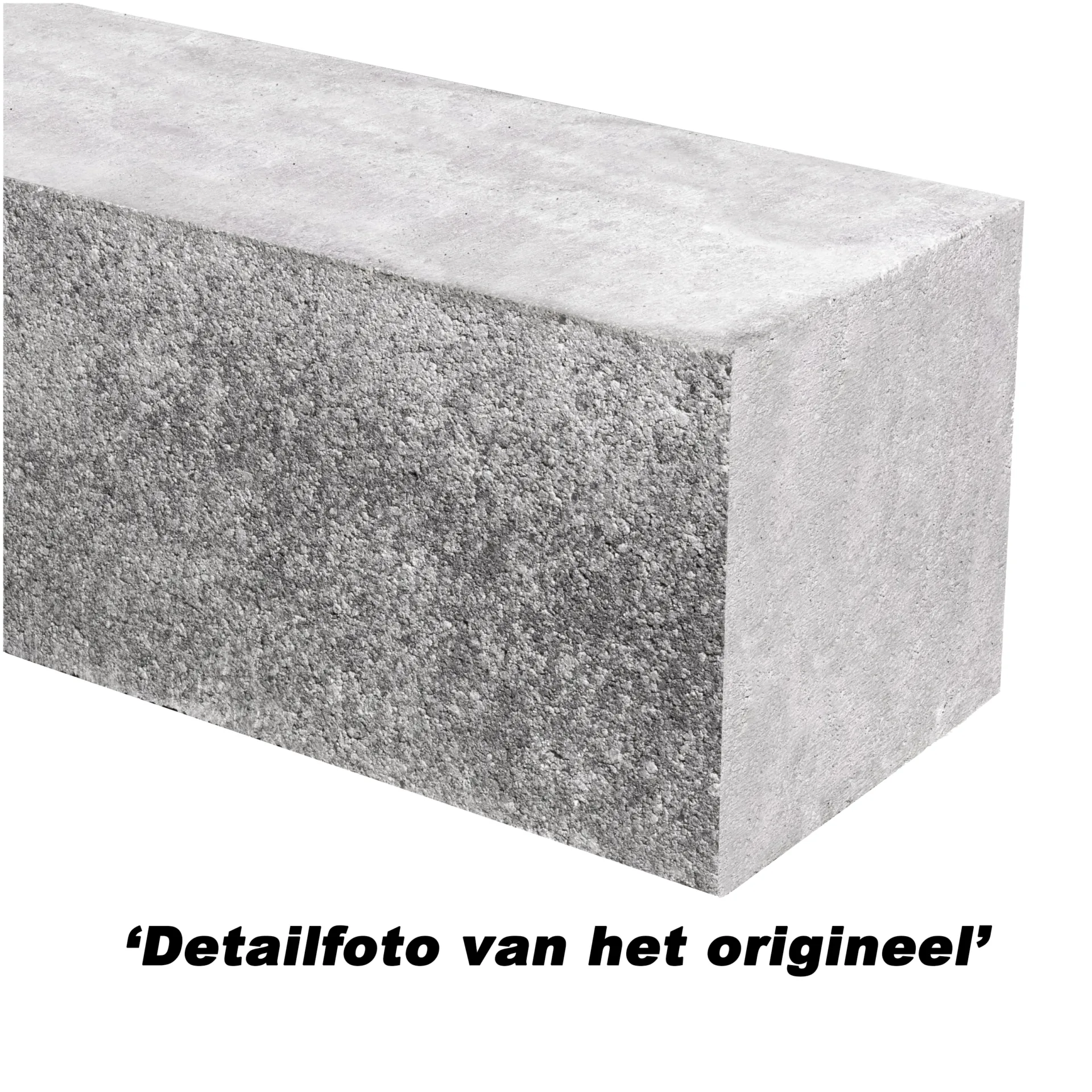 55025_363