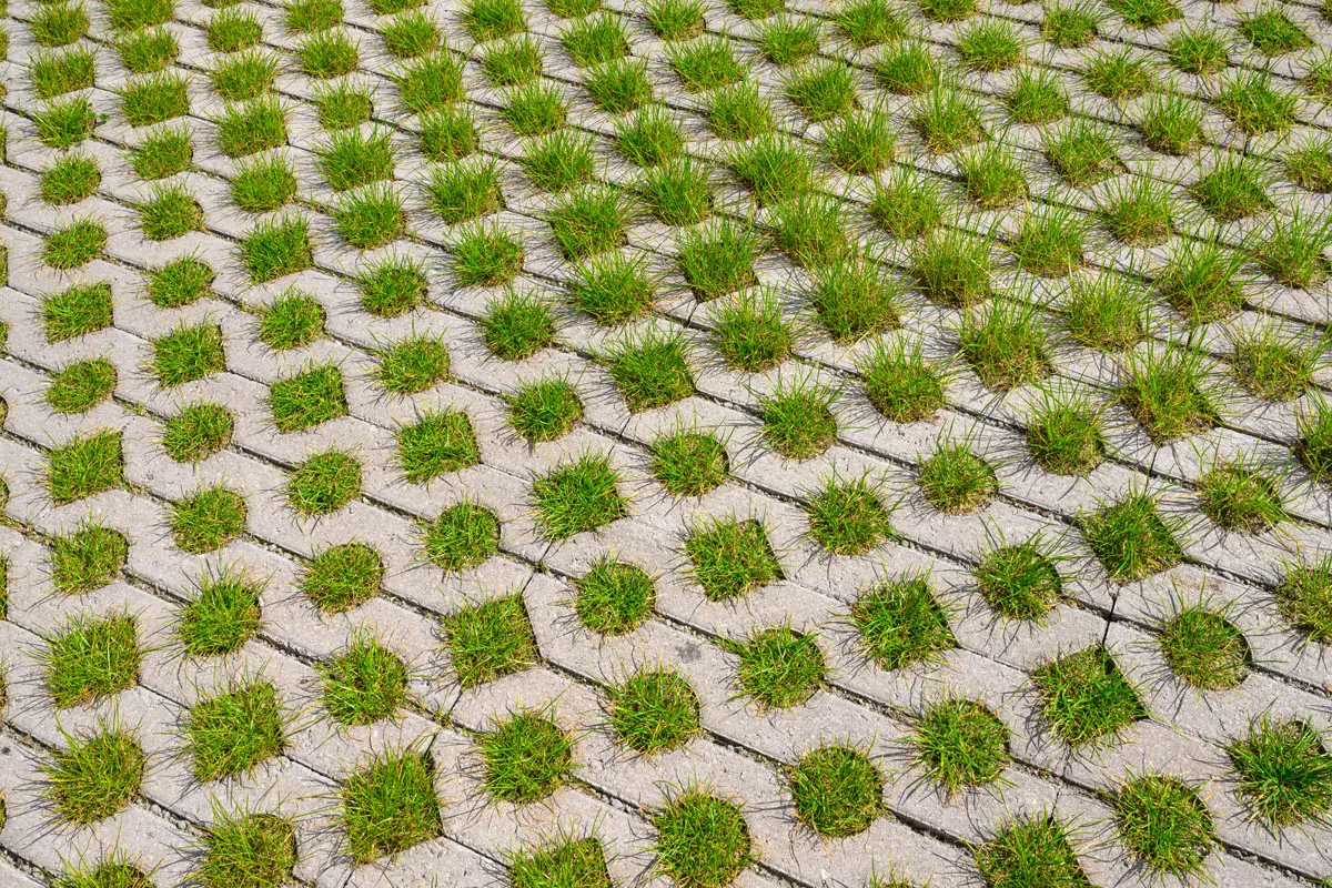 Grasbetontegel vlak 61x41cm