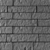 56036_363