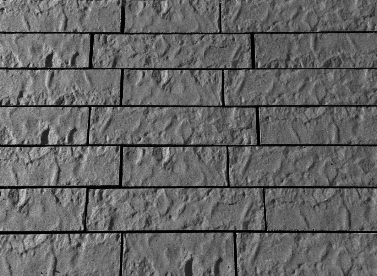 56036_363