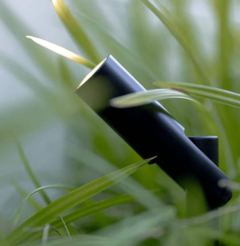 tuinspot zwart tussen de planten