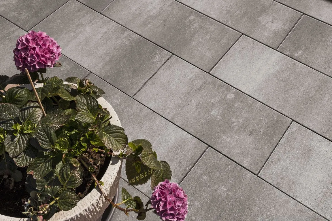 SMARTTON XXS LINEA 30X60X4CM AMIATA - Afbeelding 2