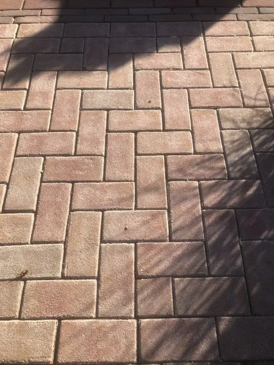 101419_363