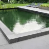 72639_363