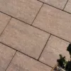 60429_363