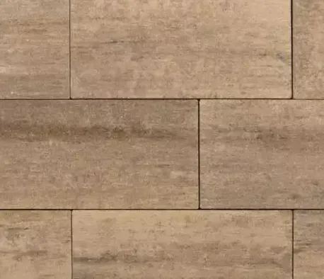 oprit of terrastegel 50x25cm