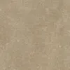124754_363 beige tuintegel
