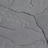29951_363