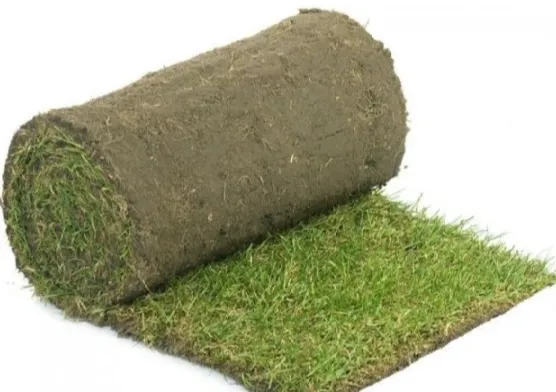 Graszoden