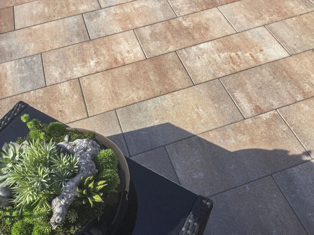 SMARTTON XXS LINEA 30X60X4CM KILIMANJARO - Afbeelding 3