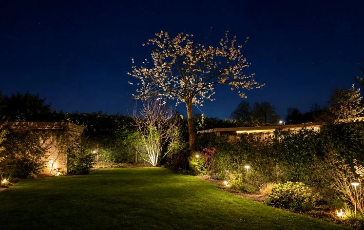 categorie-verlichting